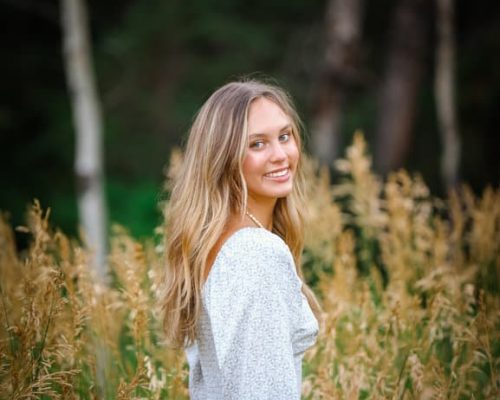 Metaslider 11 Metaslider 11