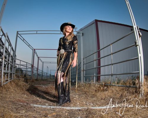 Metaslider 13 Metaslider 13