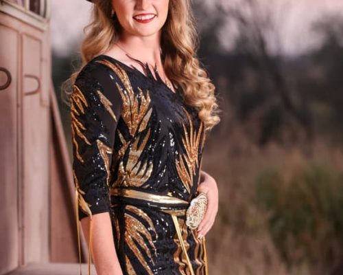 Metaslider 19 Metaslider 19