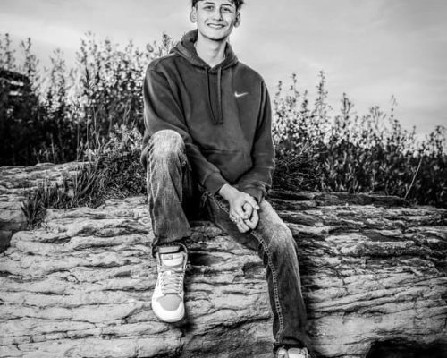 Metaslider 8 Metaslider 8