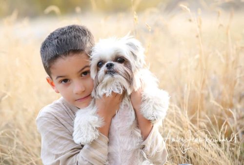 Amber Reinhardt Photography Signature Collection Family Portraits 4