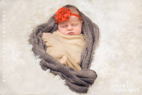 Amber Reinhardt Photography Signature Collection Family Portraits 6